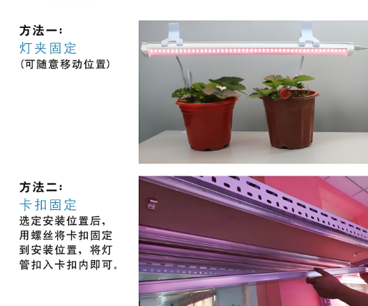 植物灯管使用Ҏ.png